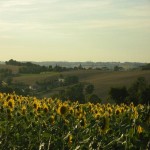 DSCN8337.JPG